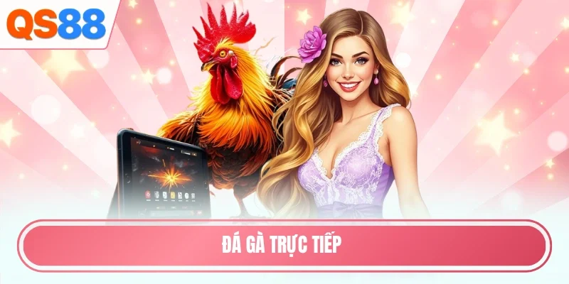 Đá gà trực tiếp