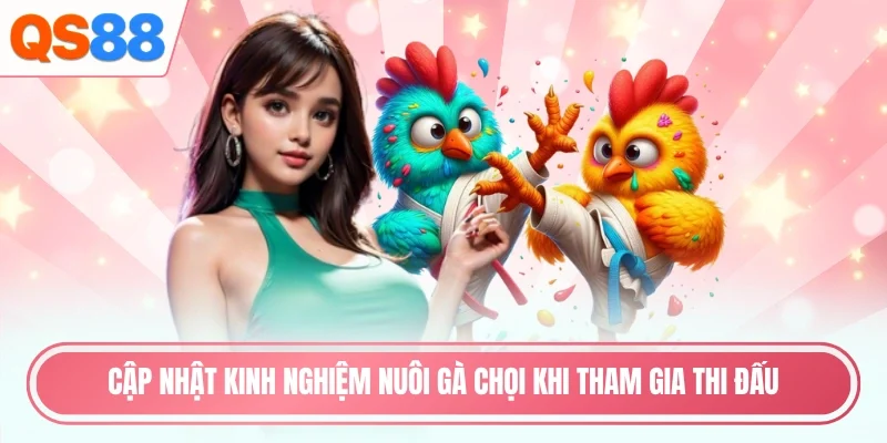 Cập nhật kinh nghiệm nuôi gà chọi khi tham gia thi đấu