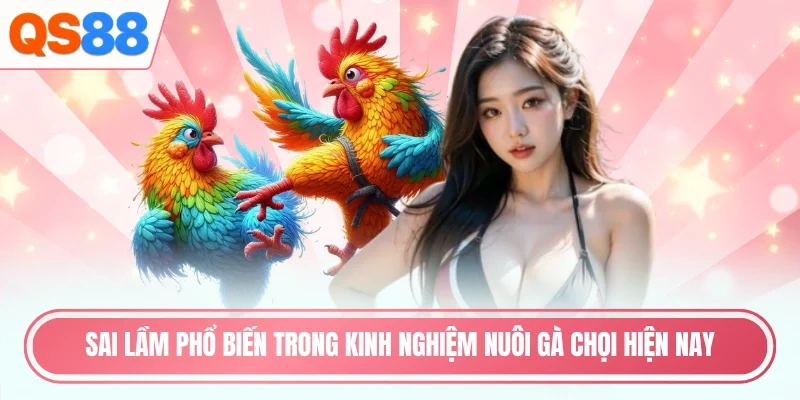 Sai lầm phổ biến trong kinh nghiệm nuôi gà chọi hiện nay